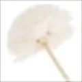 Litchi Blossom